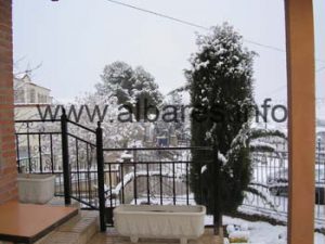 P1010344 