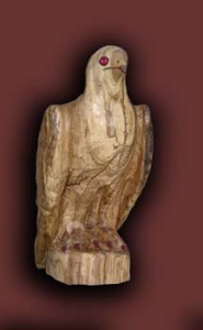 aguilucho-frente (1)