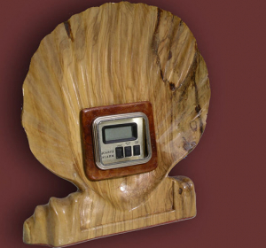 concha-copy jpg jpg (1)