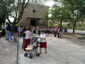IMGP0605      