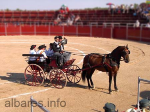 Fiestas de Albares 12 de junio 013   