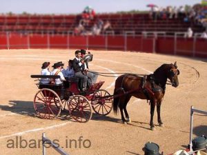 Fiestas de Albares 12 de junio 013   