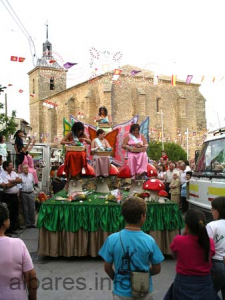 IMGP0419         