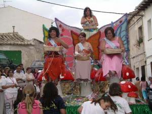 IMGP0422         