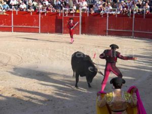 _5773920153 