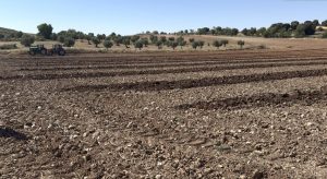 tierra-de-concurso-2026