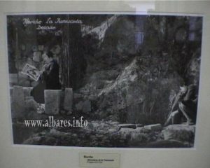 FOE6581_jpg